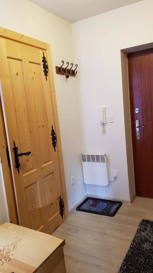 Апартаменты Apartament Sobiczkowa Zakopane Косцелиско