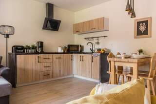 Апартаменты Apartament Sobiczkowa Zakopane Косцелиско Апартаменты с видом на горы-13